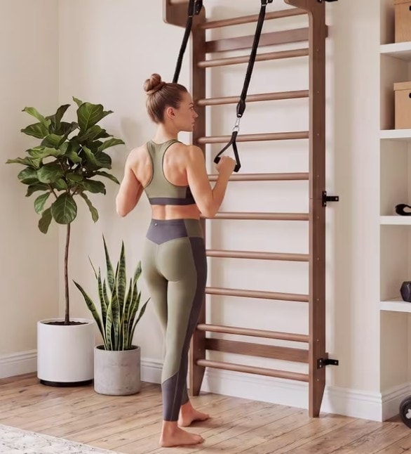 Swedish Ladder